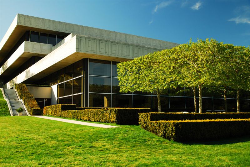 Increase Your Lawn Mowing Business with an AI Driven, Targeted Website