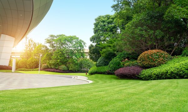 Cost of Commercial Lawn Mowing in Yorktown