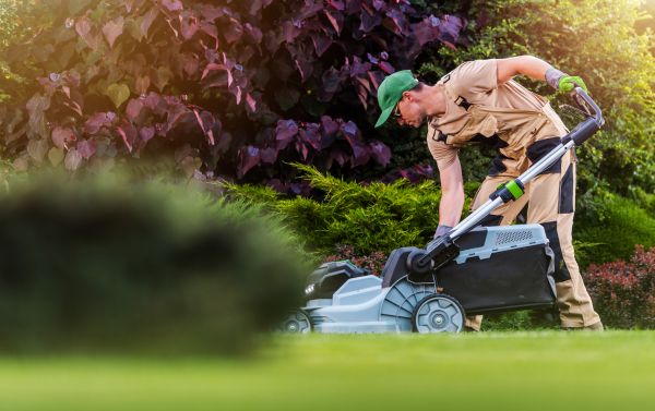 Lawn Care And Maintenance in Yorktown