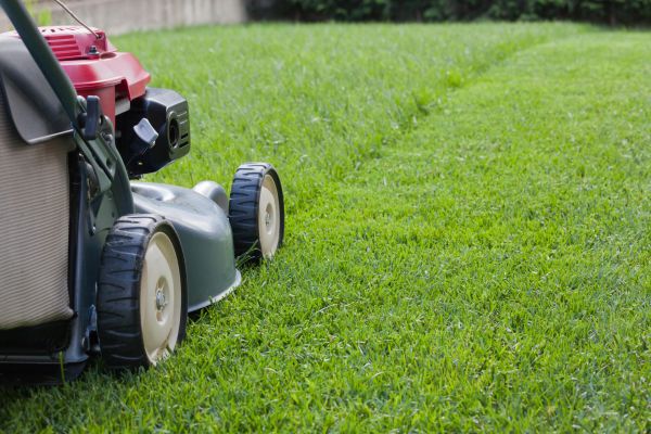 Lawn Care Service in Yorktown