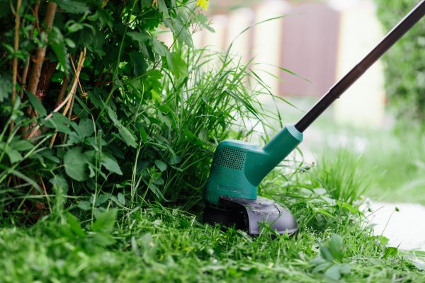 Weed Whacking in Yorktown