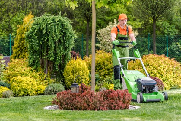 Cost of Yard Service in Yorktown