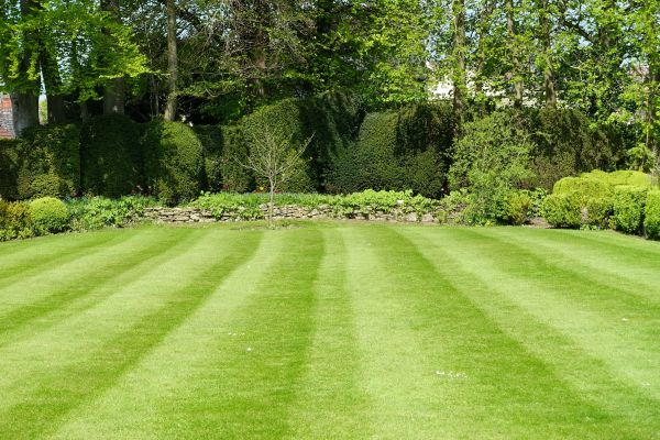 Cost of Grass Care Service in Yorktown