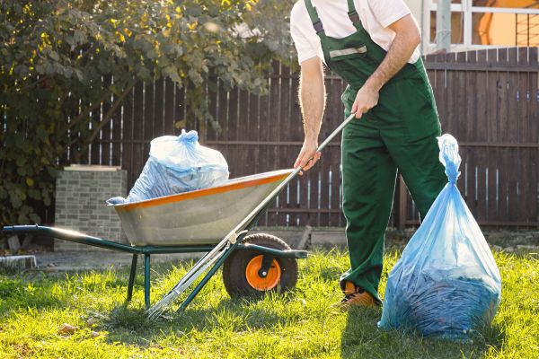 Yard Cleaning in Yorktown