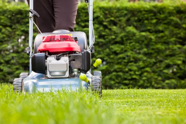 Grass Trimming Service in Yorktown
