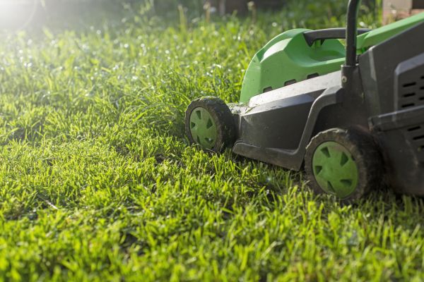 Cost of Lot Mowing in Yorktown