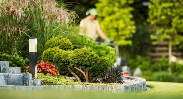 Cost of Residential Yard Maintenance in Yorktown