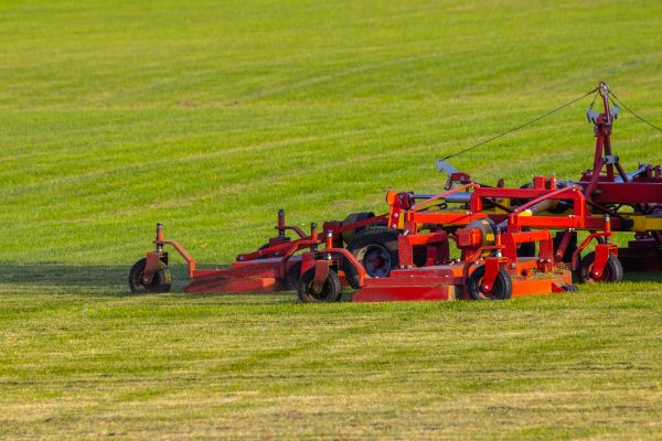 Cost of Industrial Lawn Service in Yorktown