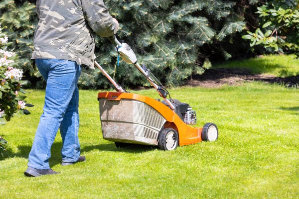 Springtime Lawn Care in Yorktown