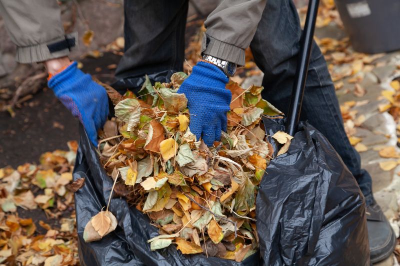Bagging Fall Leaves
