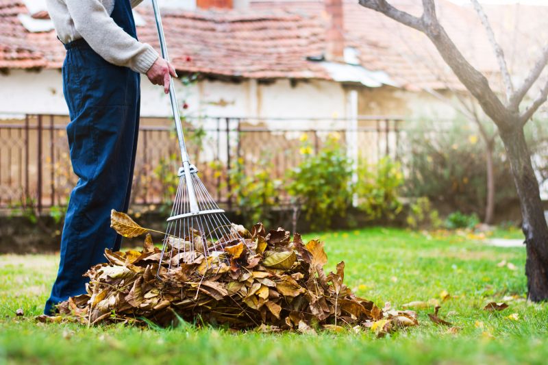 Leaf Pile Collection