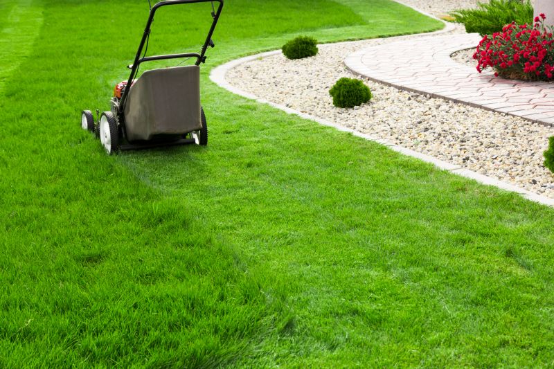Mowed Lawn with Edges