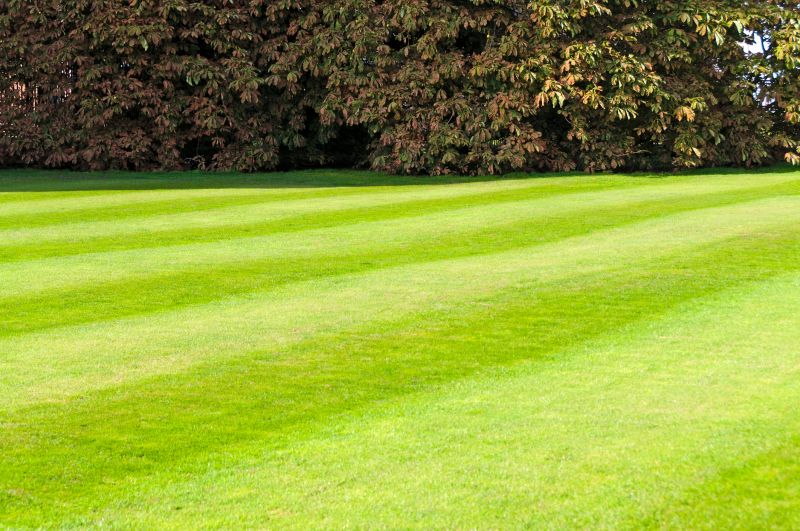 Healthy Lawn After Mowing
