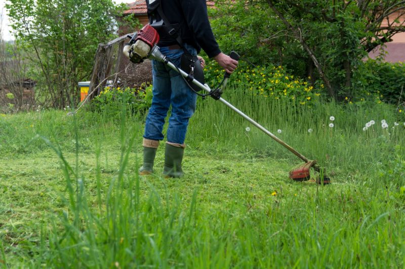 Tall Grass Mowing