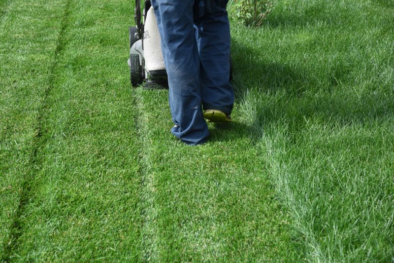 Independent Lawn Mowing Contractors